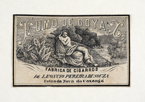 vizualizar o documento on line